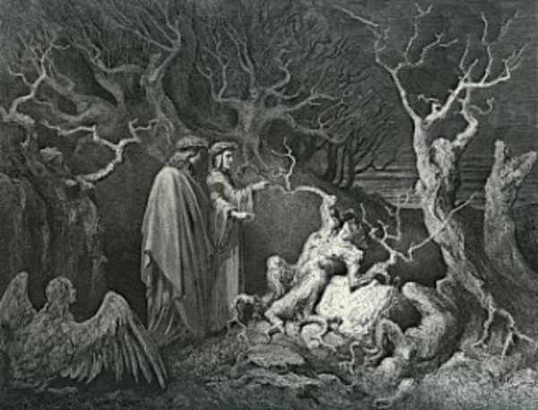 La Divina Incisione  Incisioni per la Divina Commedia