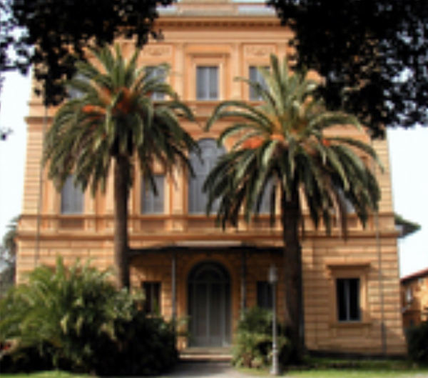 Museo Civico G.Fattori sulla RAI