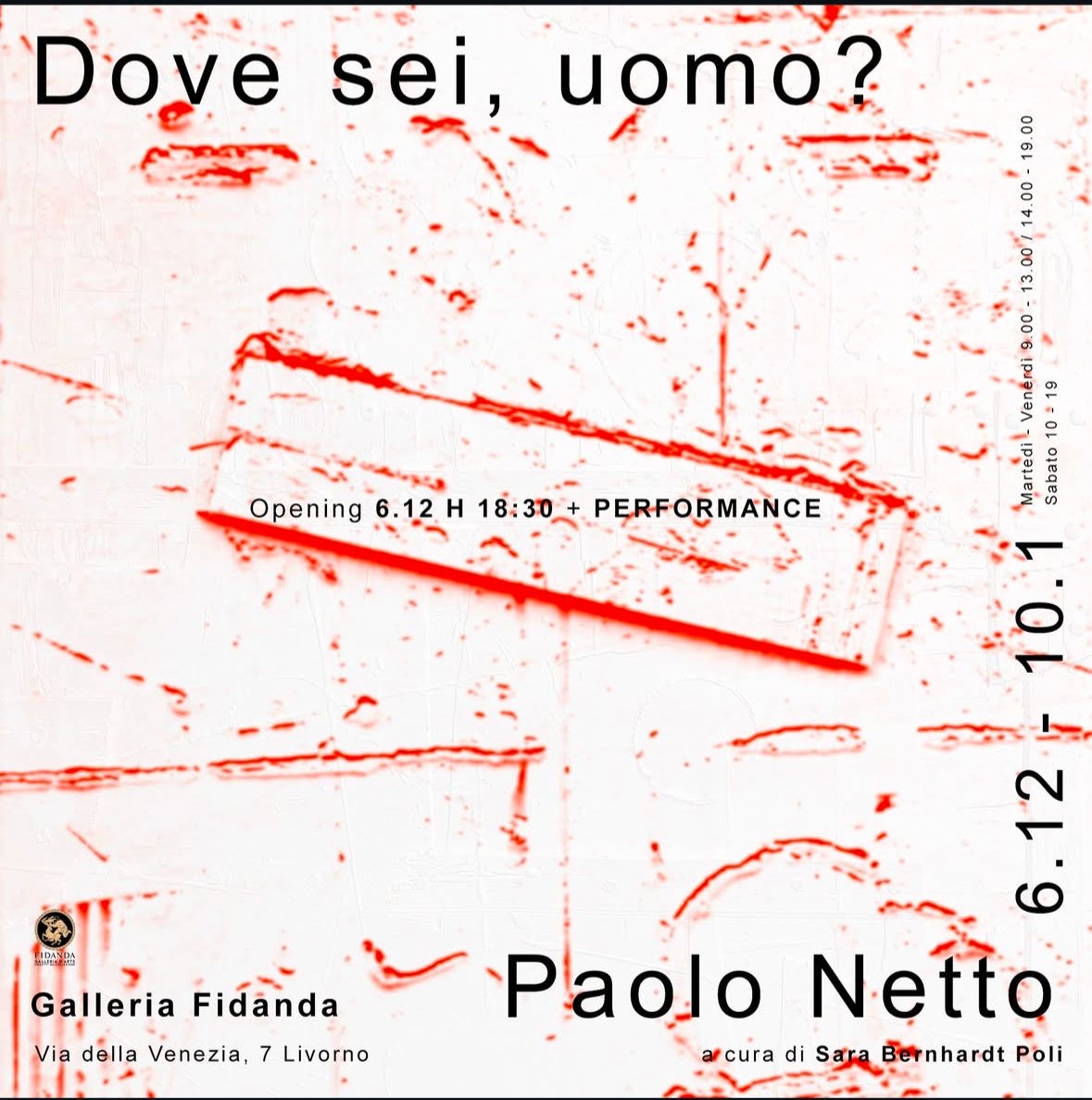 Performance di Paolo Netto