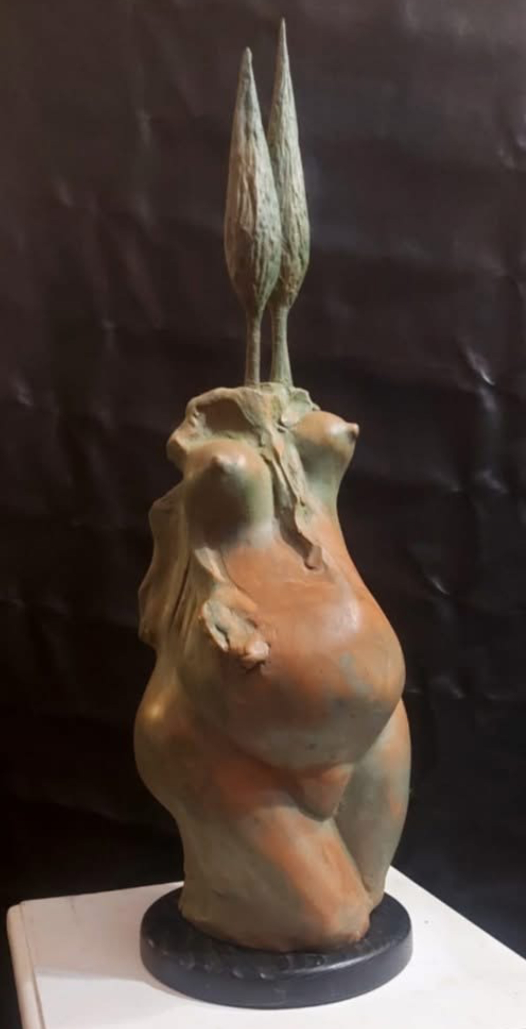 Mauro Stefanini espone a Saline di Volterra 