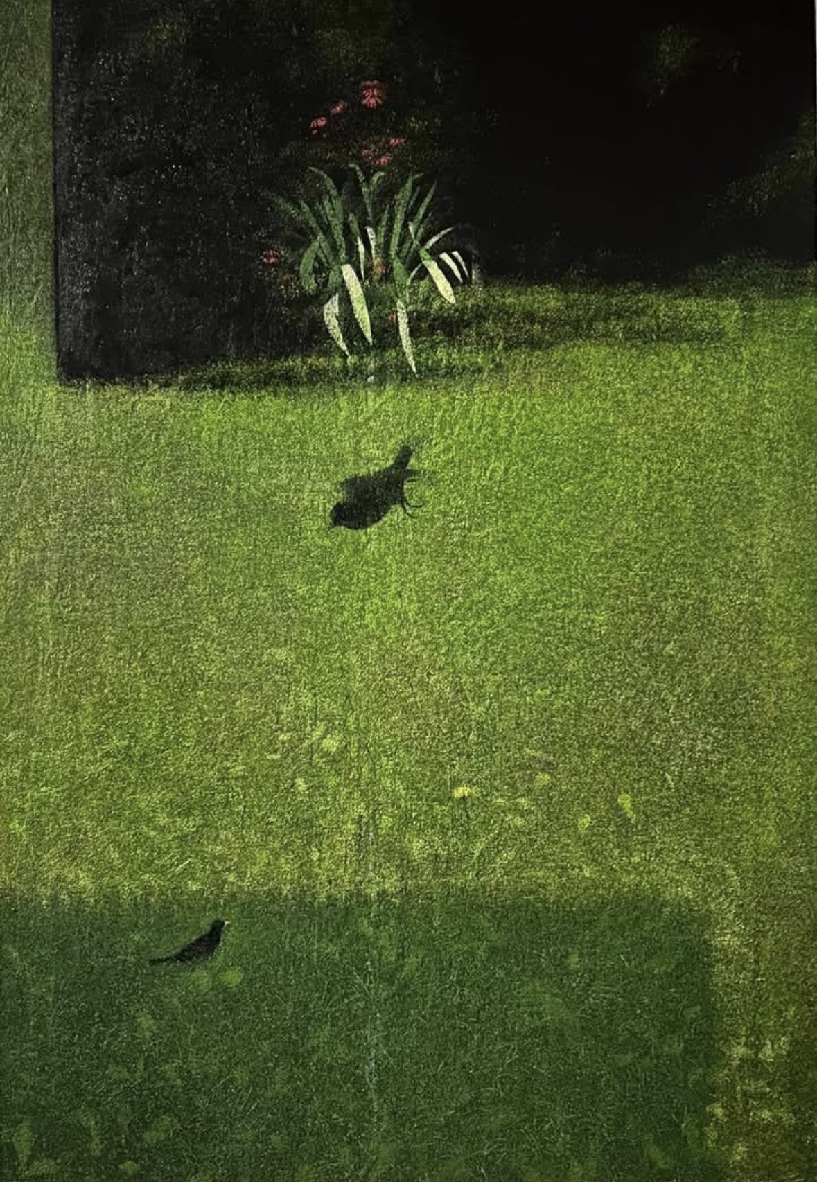 Alessio Vaccari in mostra a Livorno